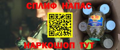 гидра Кандалакша