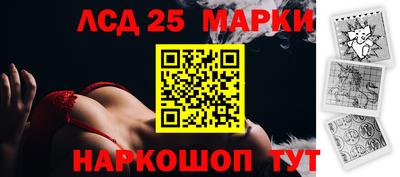 гидра Кандалакша