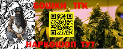 гидра Кандалакша