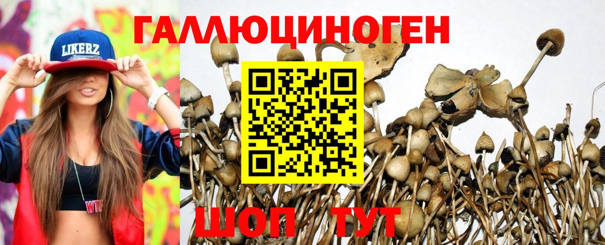 Галлюциногенные грибы мицелий Георгиевск