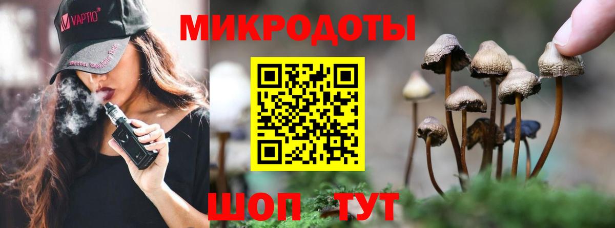 Георгиевск  Галлюциногенные грибы Psilocybe  Вход с VPN  Галлюциногенные грибы мицелий 